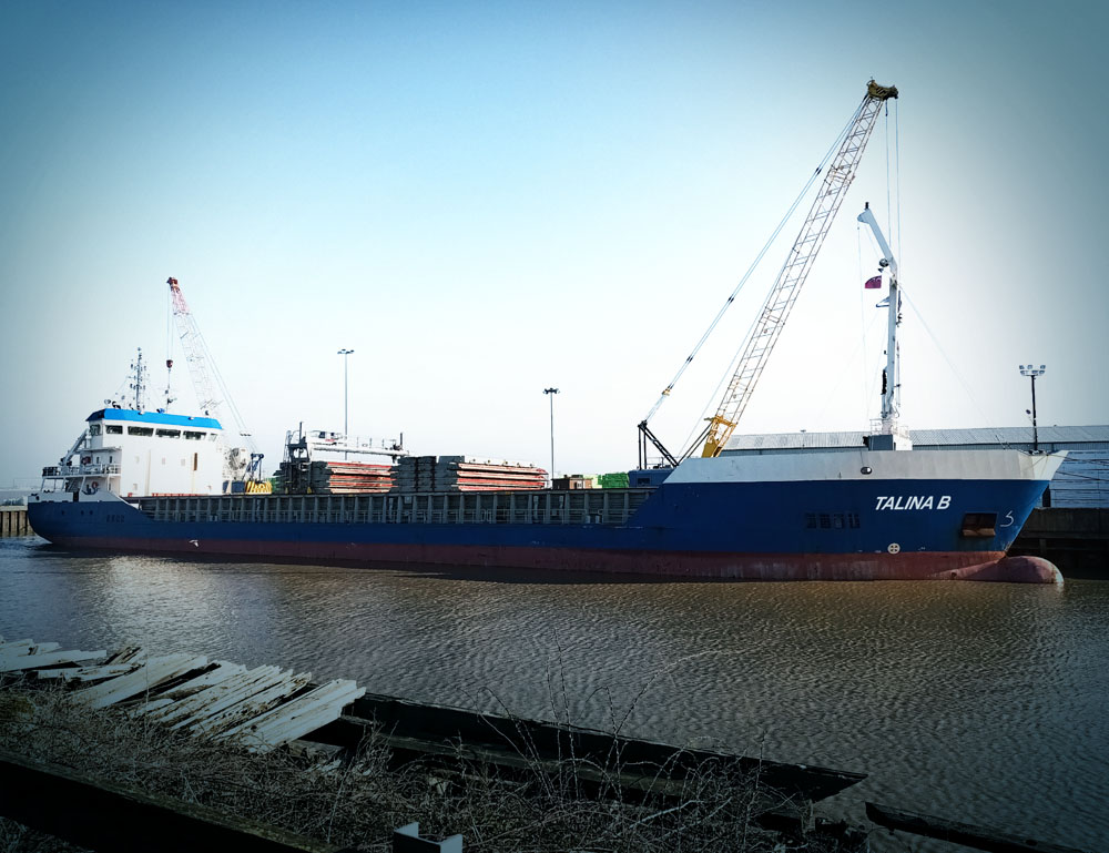 Talina_B_Fleet