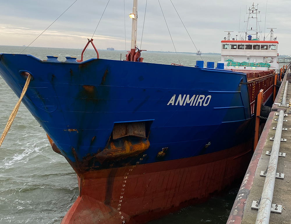 Anmiro
